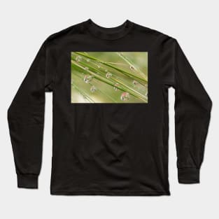 Water Drops on Grass Long Sleeve T-Shirt